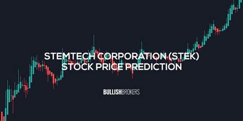 Stek Stock Price Prediction
